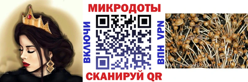 Псилоцибиновые грибы мицелий  Каргат 